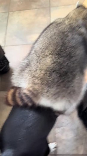 ������ ����! . ���� �� ������