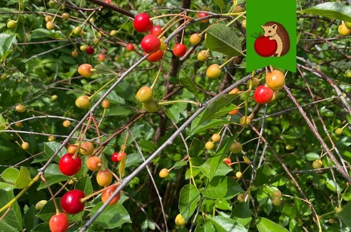 ������� ��������� ���������: ��� �� ������ ����� � ������