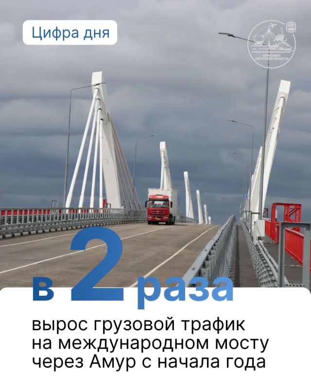 ���� ����� ���� �������� �������