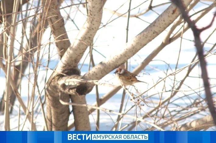 ��� ����, ��� �����, � ��� +16: ������ � ��������� 15 ������