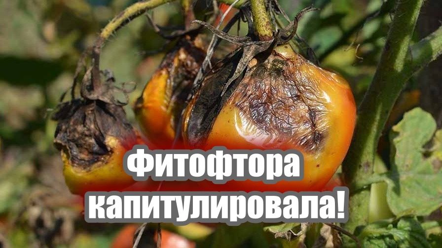 ��� ���������� � ���������� �� ���������: ����������� �������� ������ � ������