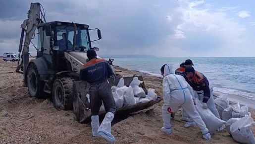 Кубанские власти сообщили о завершении «основных работ» на пляжах в районе Анапы после нового выброса нефтепродуктов