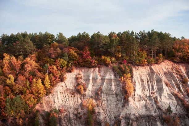 ������ ����, ��������!. ������� ��� ��� - �������� ����������� �� ������ ������� �������� ������� � ���� ����� ����� �������� �� ��������?) �������������� �� ������� �������� ������� � ���