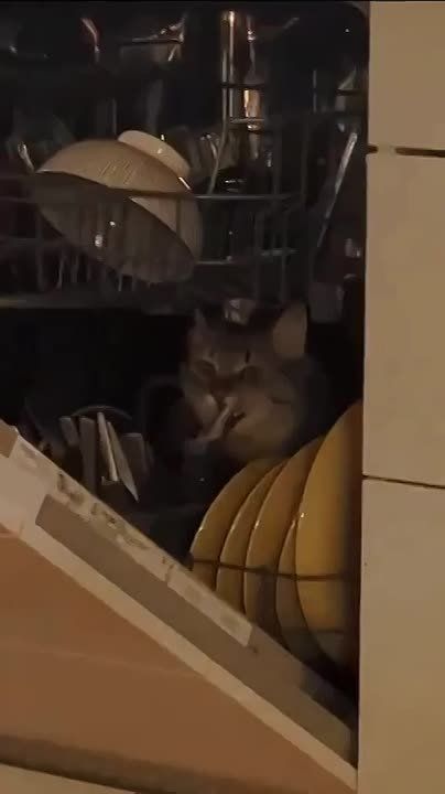 ������ ����! . �� ������, �� ������� ������ ����������� ����������������