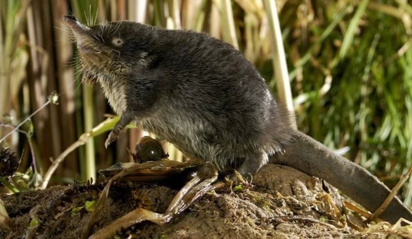 ������ �� ����� ������� ������� ��������, ������� ��������� �� ����� ���������