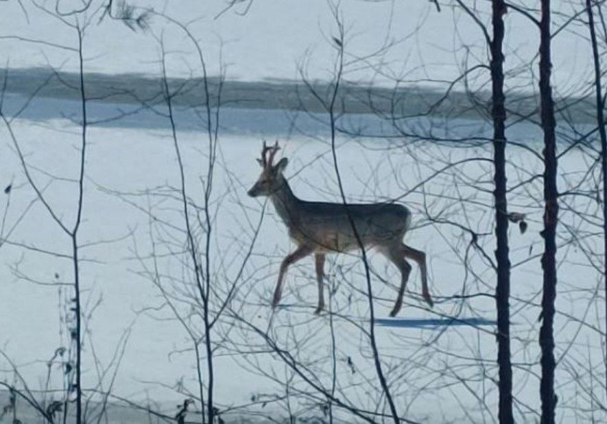 ����� ������ ��������� ���������� �� ���� ���� ����� ������������ ������