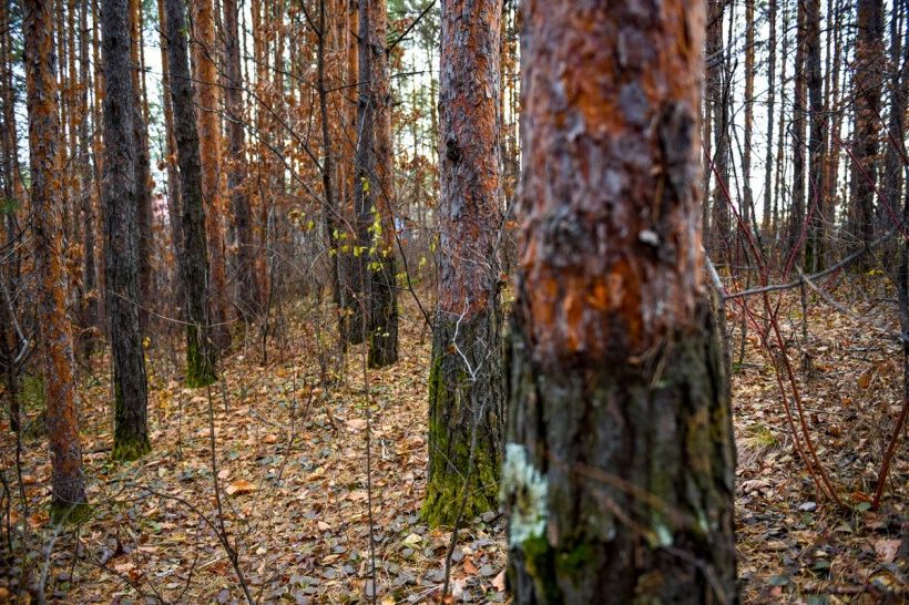 �������� ������� ���������� �� ������ ������ �� ������