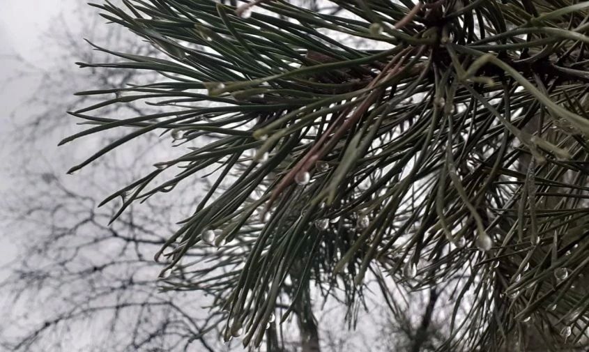 ������ ���� � �����: ����� ��� ������� ���� ������� �� ���� ������