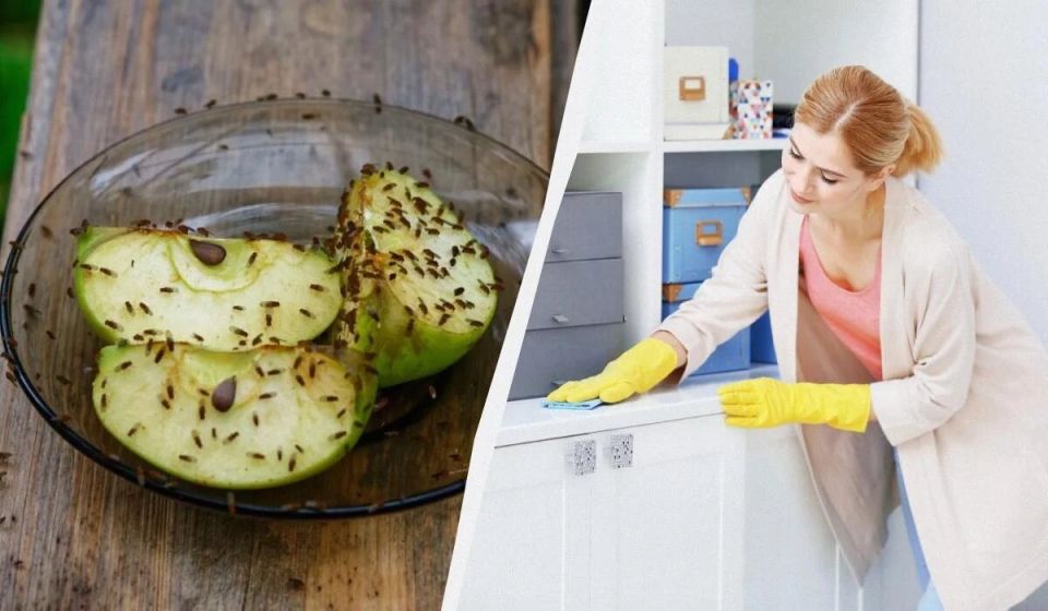 ����������� ������ ������ � �������: ��� ���������� �� ��������� ������ � ��������