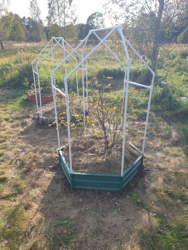 ��� ������� ����������� ������ ���������: ������� ������� ��� �����������