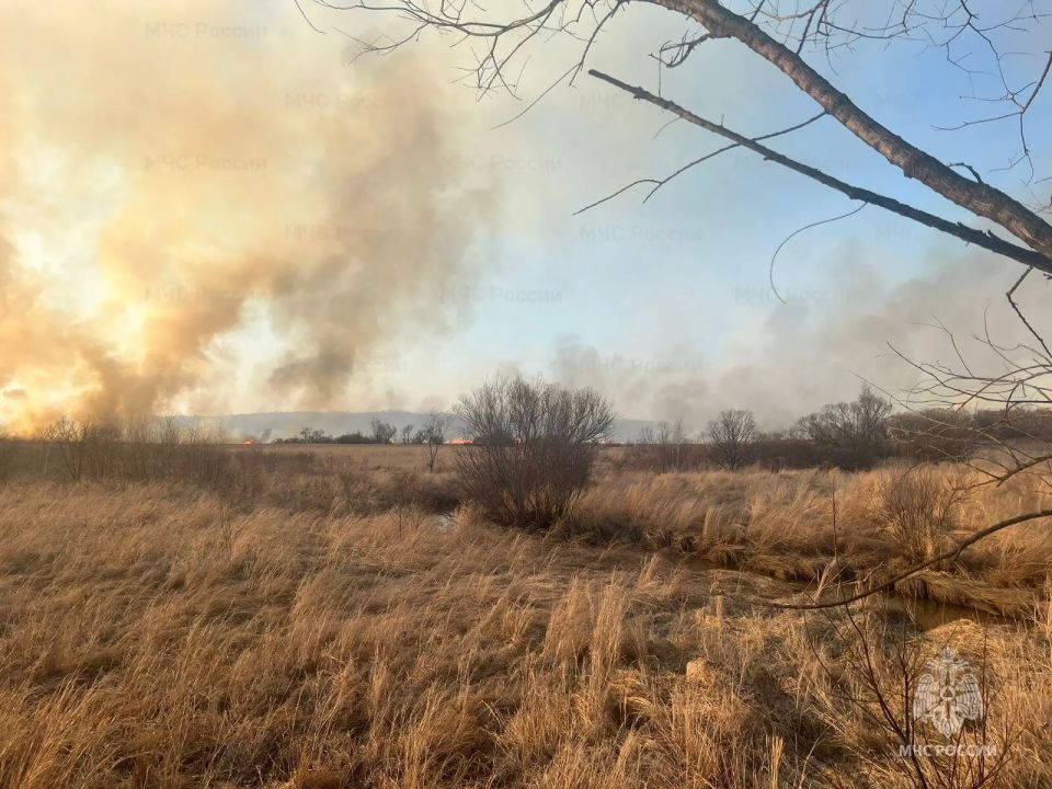 ������ ��������� ������� �����