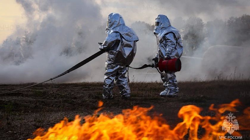 12 ����� ����� ����������� ����� ����� � ���������: ����� ����������� � 8-������ ����, ������� ������� � ����