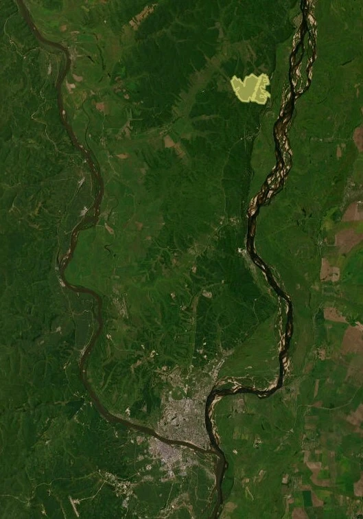 В Благовещенском муниципальном округе на аукцион выставили право аренды крупного земельного участка сельскохозяйственного назначения В Благовещенском муниципальном округе на аукцион выставили право аренды крупного земельного участка сельскохозяйственного назначения