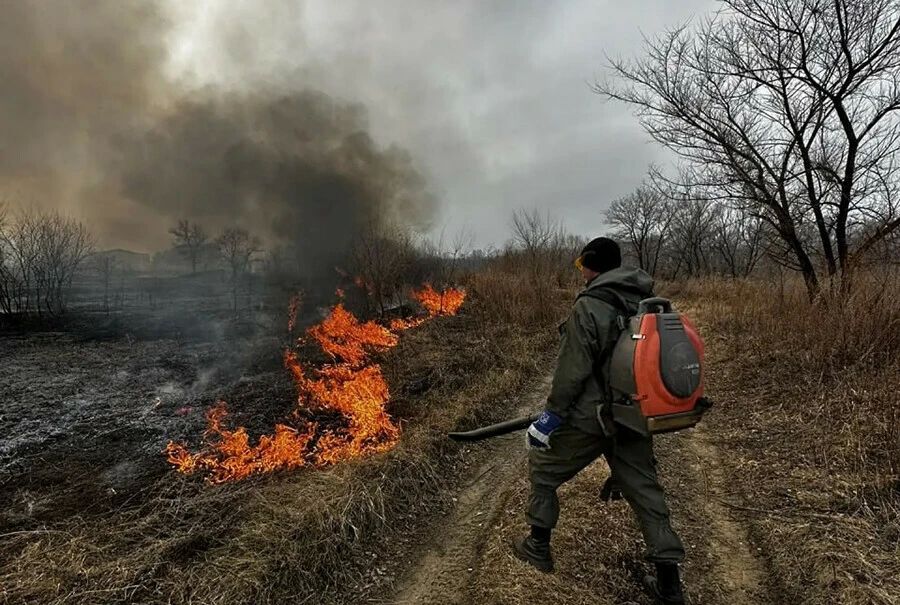 � 4 ������ � ������������� ��������� ������ ��������������� �����