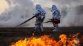 12 детей стали виновниками палов травы в Приамурье: среди нарушителей — 8-летние дети, которые грелись у огня