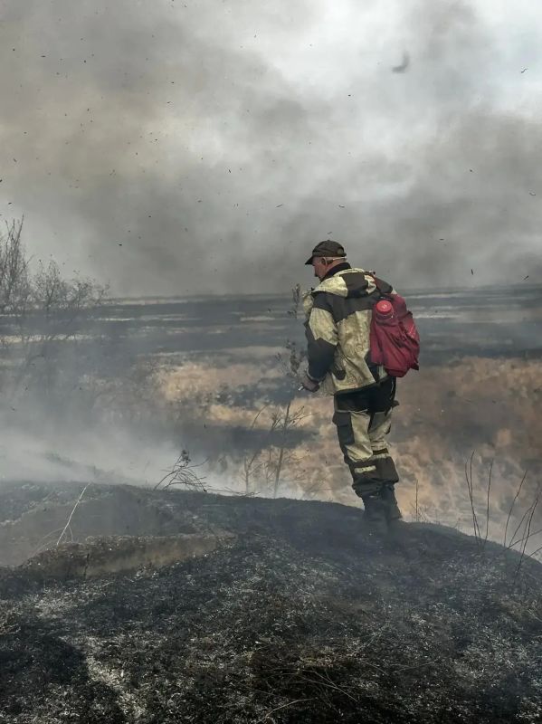 C ������ ������� ���������������� ������ � ������������� ���������� ������������� 15 �����