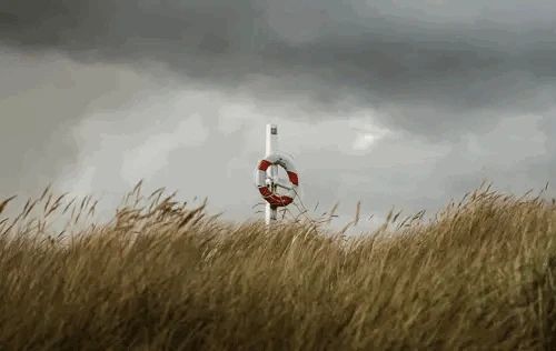 � �������, 16 ������, �� ���� ���������� �������� ������� �������� ������ ������� ����������������� ���������