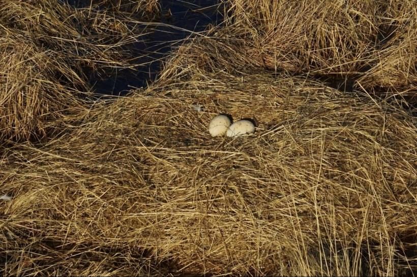 � ������ ���������� �������� �������� �������� � ����������� �� ������������� ��������� �������� ��� ����