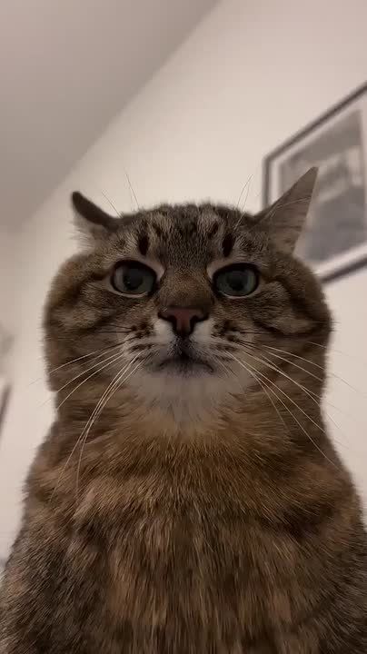 ������ ����! . ���������� ��������� ��� ���, ��� �� ����� ��������