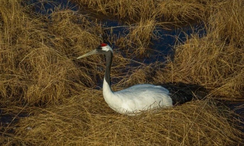 � ������ �������� �������� �������� � ����������� ��� ��������� ��� ����