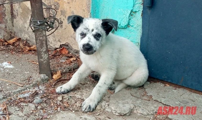 ������ ��� ������, ����������� �������� �������� �� �����, ����� ������� � 10 ���