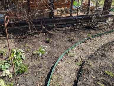 ���������� ���: ��� �������� �������� ���������� � �� �������� ������� �� �������