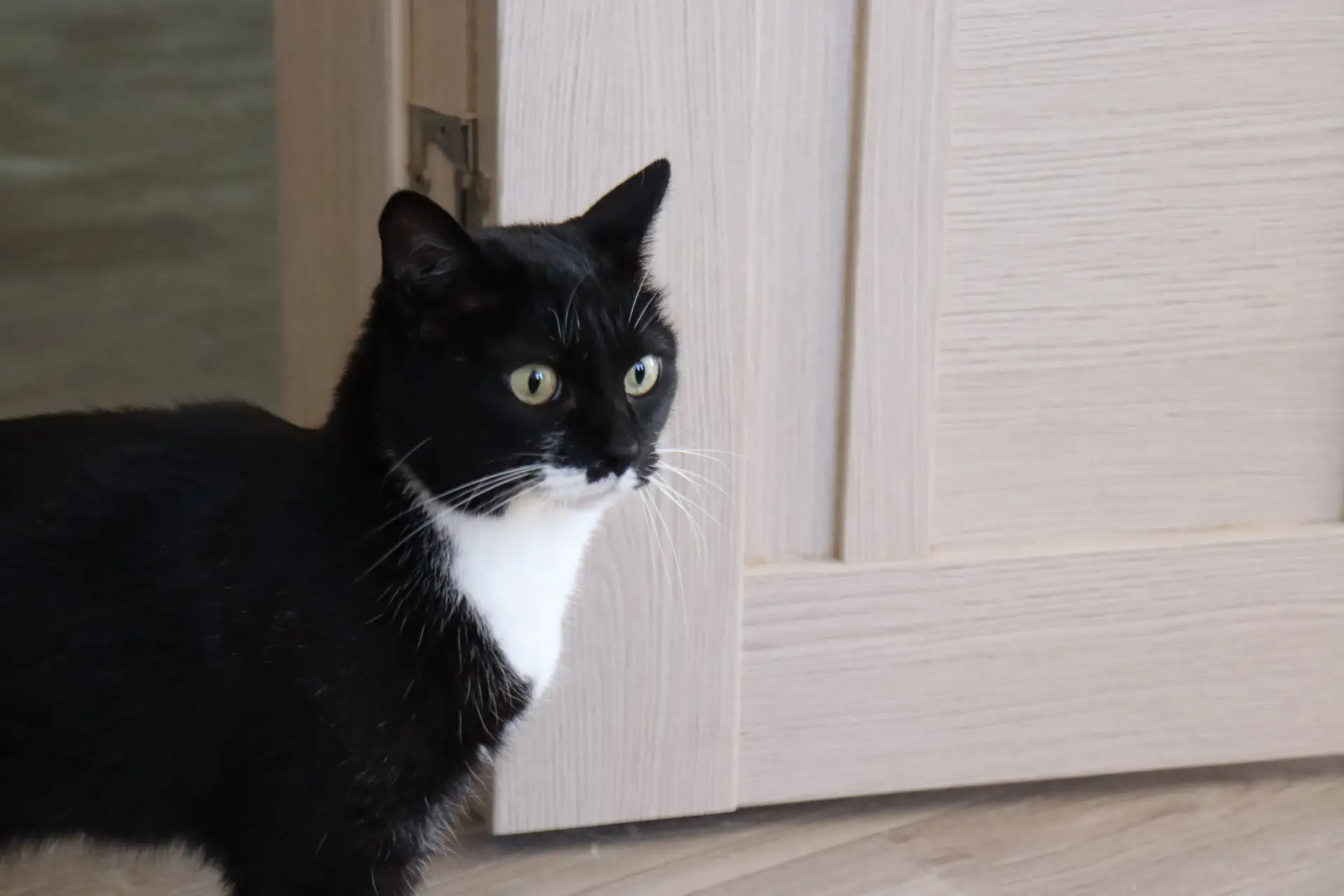 «Это новая глава в жизни каждой семьи»: в Благовещенском округе переселенцам из аварийного жилья вручили ключи от новых квартир «Это новая глава в жизни каждой семьи»: в Благовещенском округе переселенцам из аварийного жилья вручили ключи от новых квартир