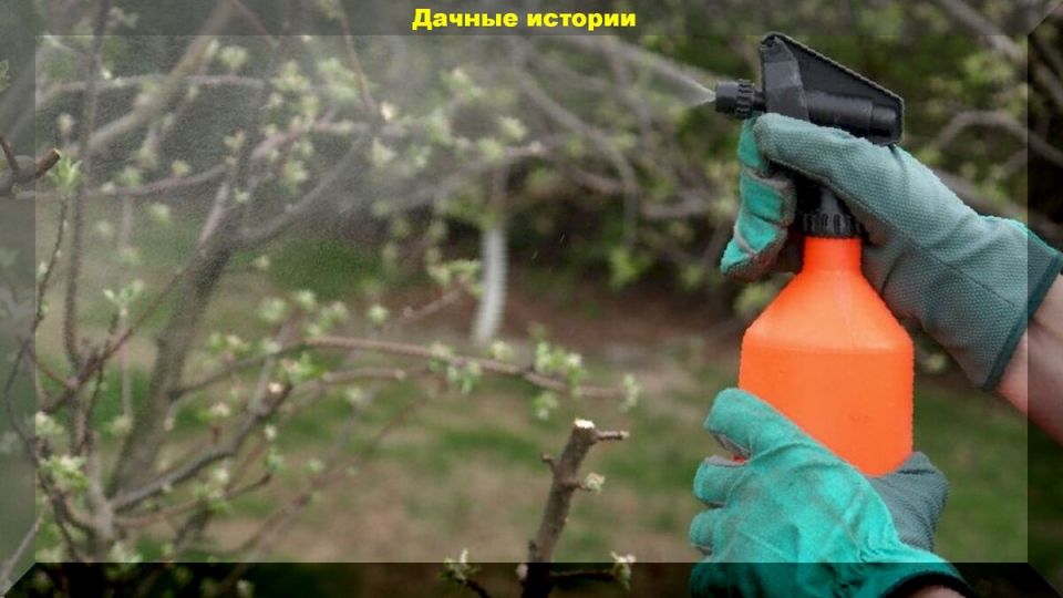 �������� ������� �������� ��������� ����