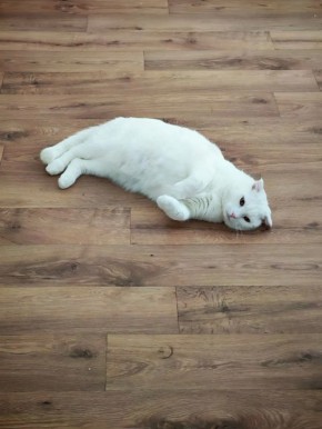 ������ �� ����� �������