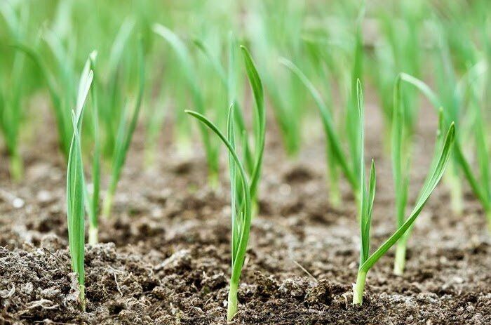 ��� ��������� ������������� ������: ������ � ������������ ��� ������ ����