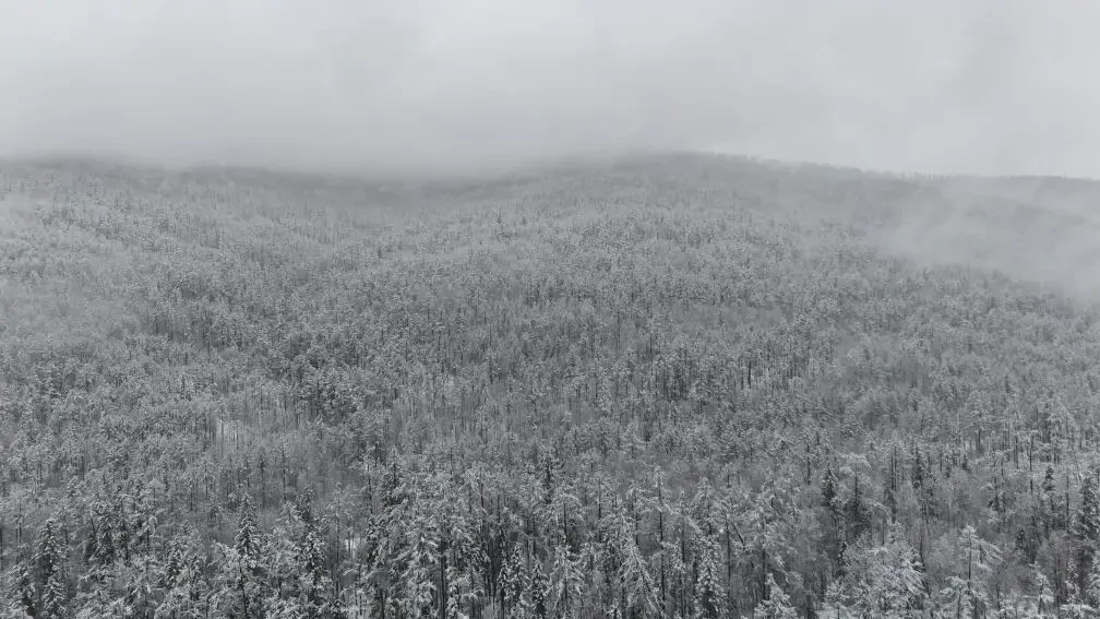 Снег, дождь и ветер: амурские синоптики предупредили о непогоде Снег, дождь и ветер: амурские синоптики предупредили о непогоде