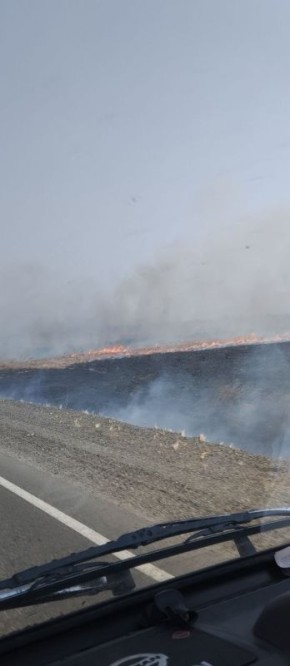 ��� ��������� ������� ��� ����� �� ������ � �������