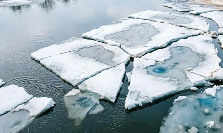 ���� ��������������: ������� ������������� �� ����������, ��������� � ������� ��������