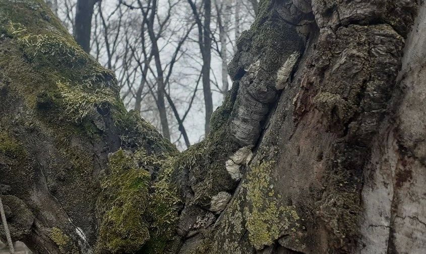 ������� ������ � �������� ������� �� 17 ������