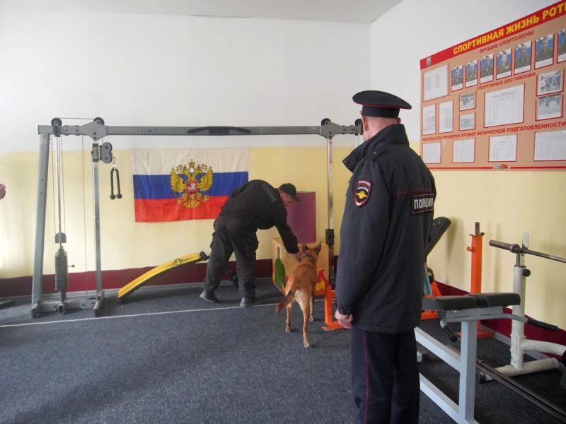 ����� ���������� ���������