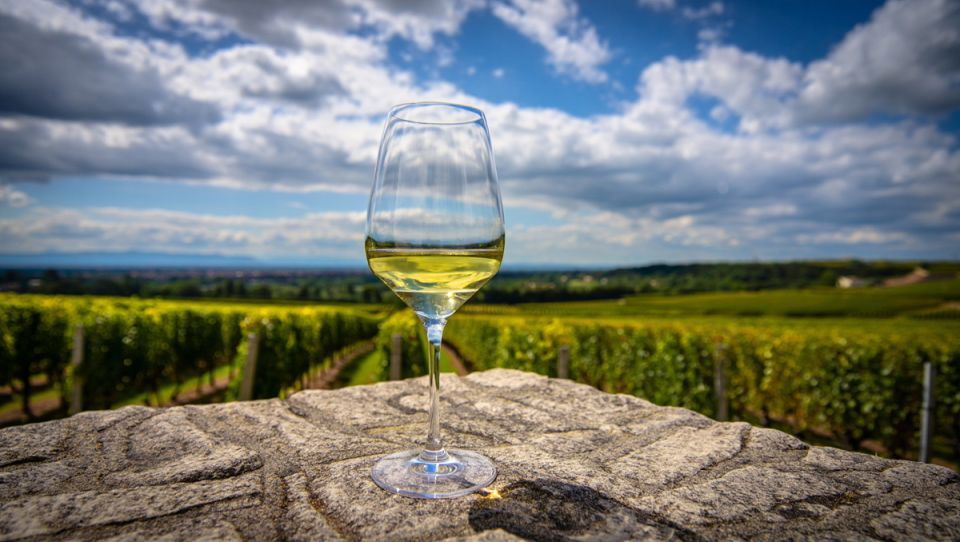 �������: ���� � ���������� � ��������, ������� ������������