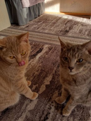 �������� ��������. �������� ���� �� ��������� @ampravda