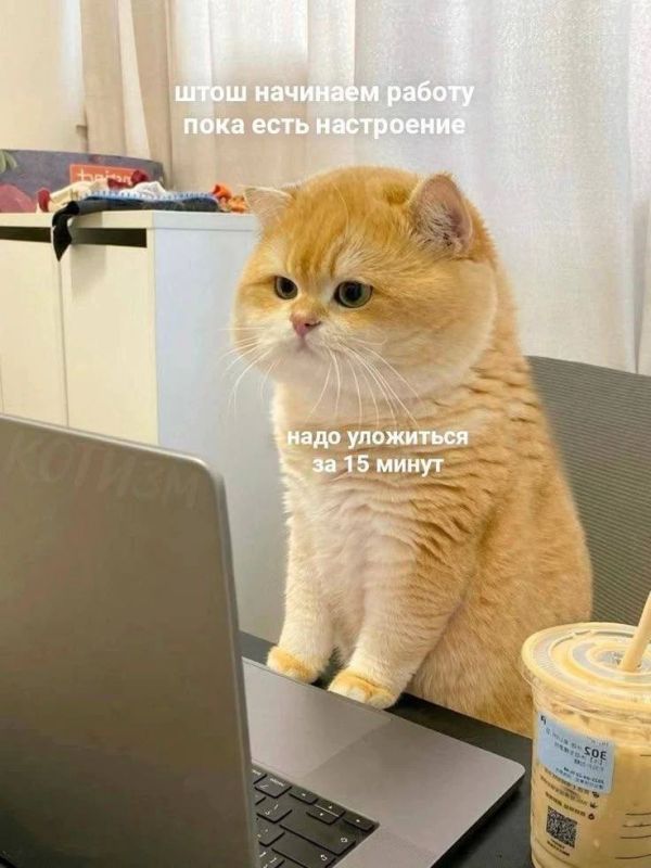 ��������� ����, ��� � ���������, �������� � ���������