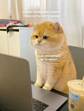 ��������� ����, ��� � ���������, �������� � ���������