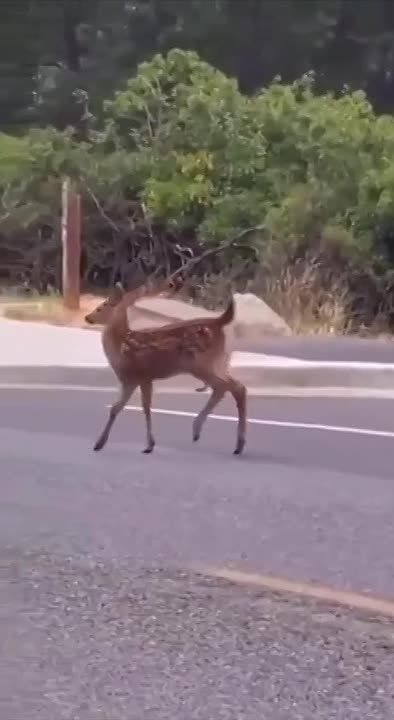 ������ ����! . �� ��������? ���������, ���������, � ������ ������ ���, ����� ���� ����������