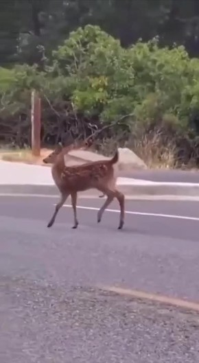 ������ ����! . �� ��������? ���������, ���������, � ������ ������ ���, ����� ���� ����������