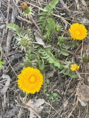 ������, ��������, ����!