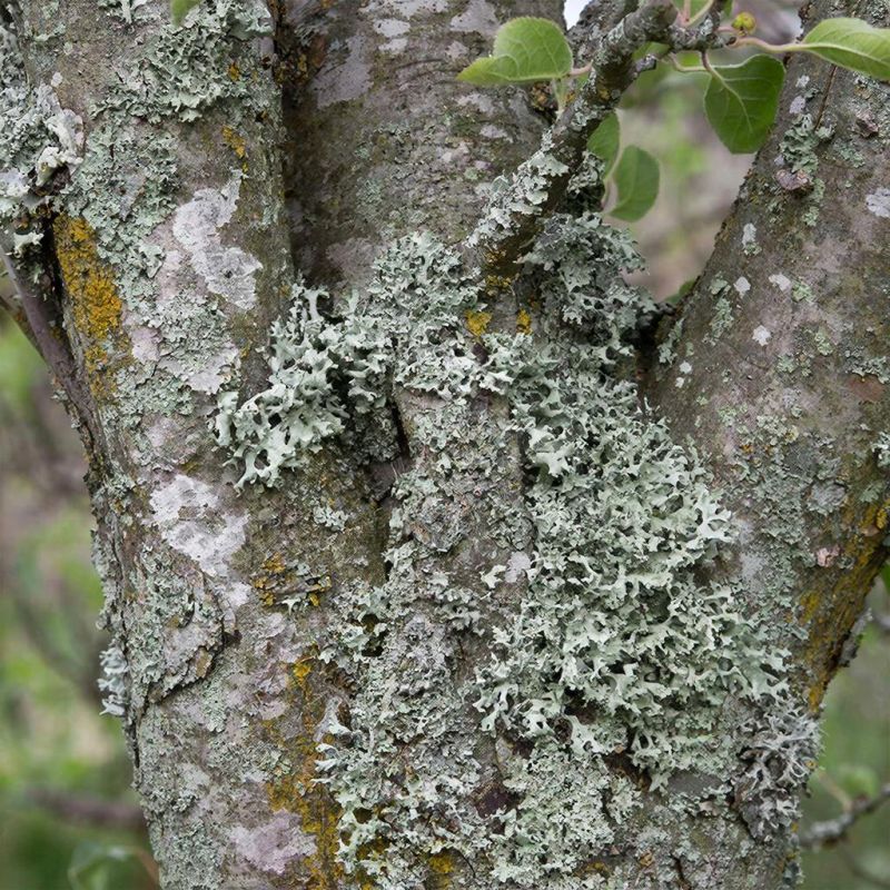 ��������� �� ������: ����� �� ������������ ��� ������ ���������?