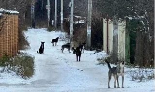 ����������� �� ��������������� ������ ���������� �� ����� ������� ����� � ��������� �� �� �����