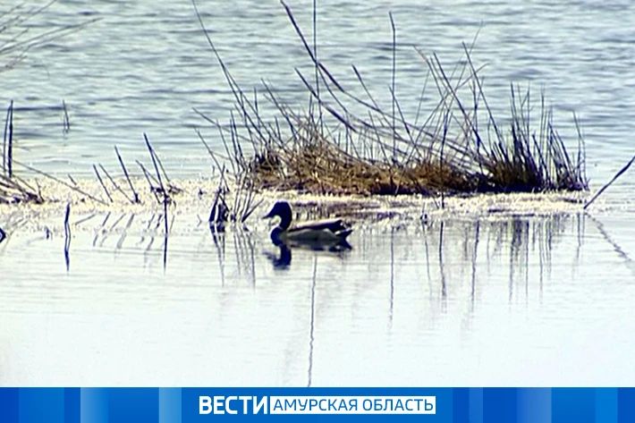 ���� � �����: ������ � ��������� �� 18 ������