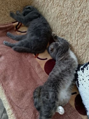 ������������ �������..#��������_���_��_���������_��