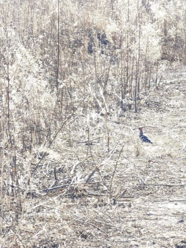 ����� ��������� � ���������: ������ ����� �� ������� ����� ����� ���������