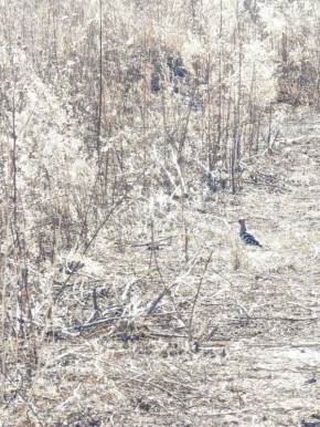 ����� ��������� � ���������: ������ ����� �� ������� ����� ����� ���������