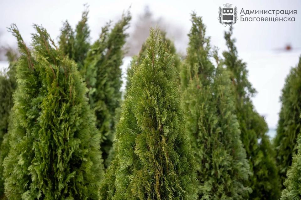 24 ��� �� ���������� � 1 ��� ������� ���������� �������� ���� � �������������