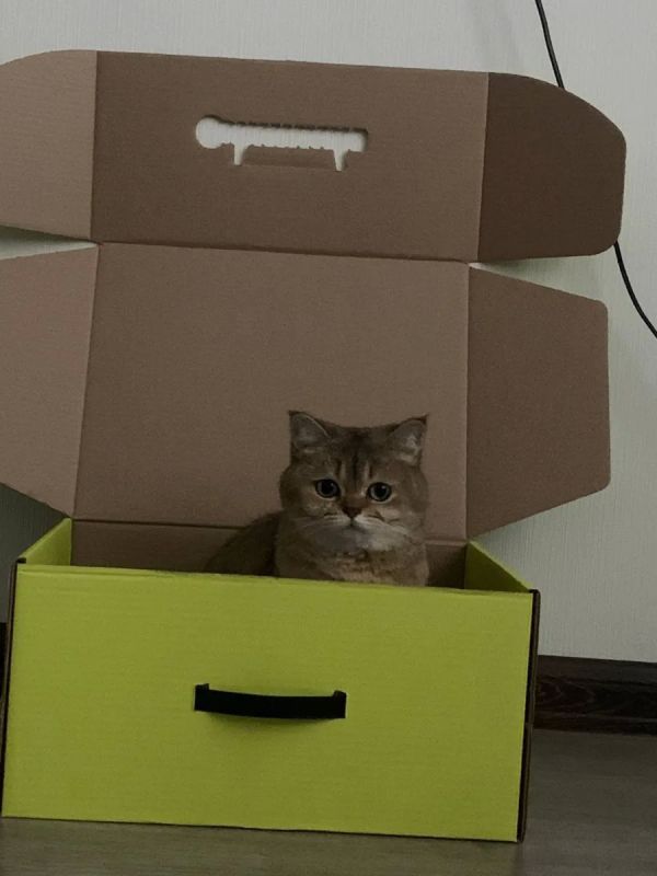 ��� ���������!..#��������_���_��_���������_��